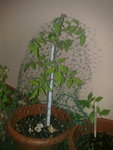 22082010736.jpeg