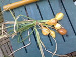 11072010441.jpeg