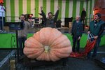 730.8kg.jpg