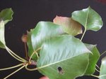 IMG_3417.JPG