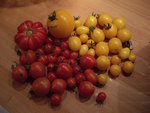 RECOLTE 2 DU 06 08 10.JPG