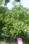 2010_082001482.jpg