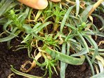 P25-08-10_19.49.JPG