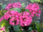 DSCN1405.JPG