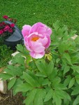 IMG_0022.jpg