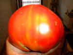 DSCN1421.JPG