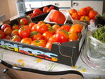 DSCN1431.JPG