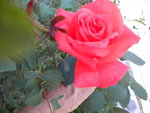 DSCN1406.JPG