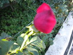 DSCN1408.JPG