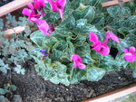 DSCN1410.JPG