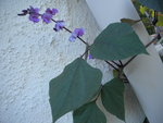 DSCN1428.JPG