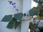 DSCN1429.JPG