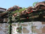 DSC00054.JPG
