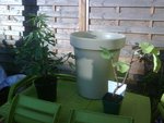 IMG00648-20100831-0835-2.jpg