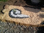 Photo0135.jpg