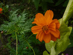 20100902-pichotte-4-362.jpg