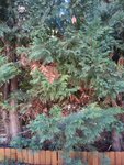 2010-09-01 11.44.59.jpg
