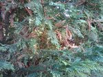 2010-09-01 11.46.45.jpg