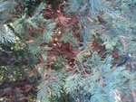 2010-09-01 11.47.08.jpg
