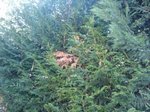 2010-09-01 11.47.18.jpg