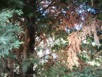 2010-09-01 11.48.48.jpg