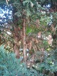 2010-09-01 11.48.55.jpg