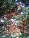 2010-09-01 11.49.10.jpg