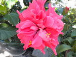 DSCN1353.JPG