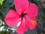 DSCN1352.JPG