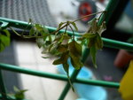 DSCN0659.JPG