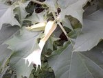 Photo0131.jpg