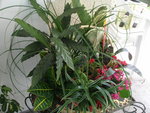 P9104041.JPG