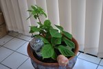 vue general