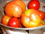 DSCN1476.JPG