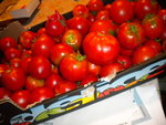 DSCN1473.JPG