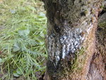 DSCN1170.JPG