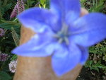 DSCN1176.JPG