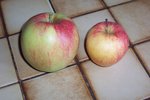 100_0347b.jpg