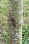 100_0384b.jpg