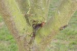 100_0385B.jpg