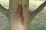 100_0386B.jpg