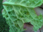 100915_131602.jpg