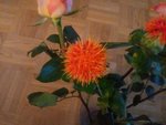 fleur.jpg