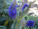 DSCN1148.JPG