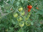 DSC00236.JPG
