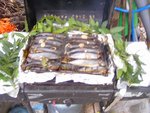 Maquereaux sur deux niveaux , le premier repose sur un tapis de petites branches de laurier et le deuxième niveau posé sur la grille.Ainsi grille 06 Kilos de Maquereaux bien assaisonnés.