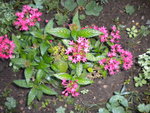 DSCN1486.JPG