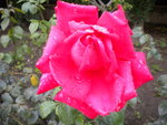 DSCN1492.JPG
