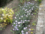 DSCN1493.JPG