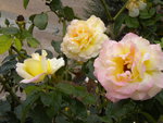 DSCN1495.JPG